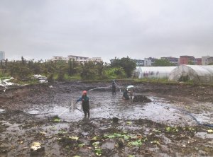 渭南河道鱼塘清淤